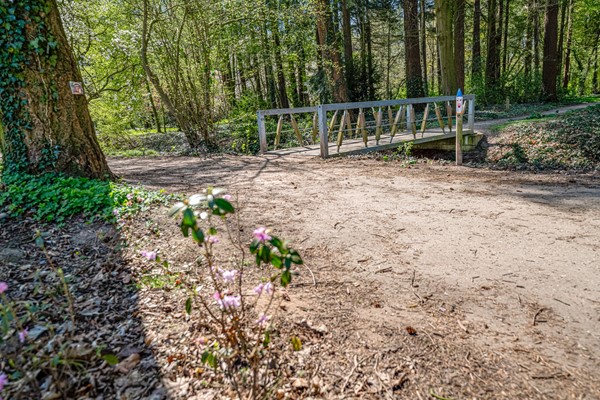 Medium property photo - Vondellaan 43, 6901 MB Zevenaar